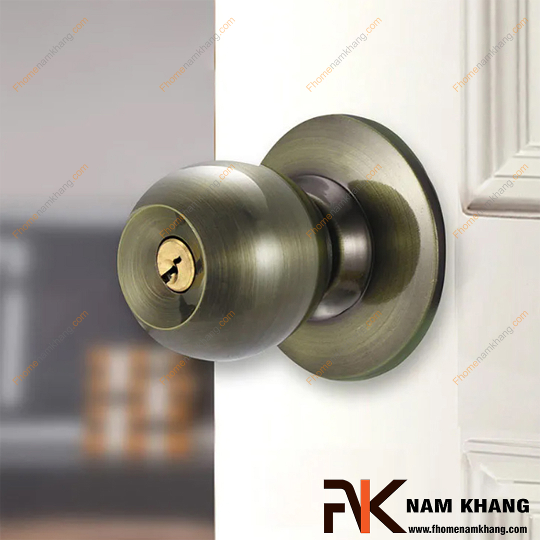 Khóa cửa cơ