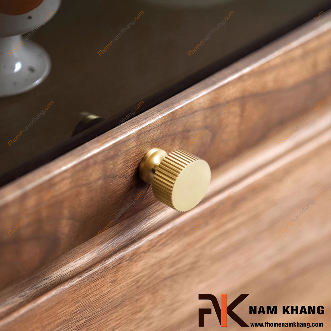 Tay nắm tủ đồng